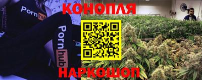 a pvp Усть-Илимск