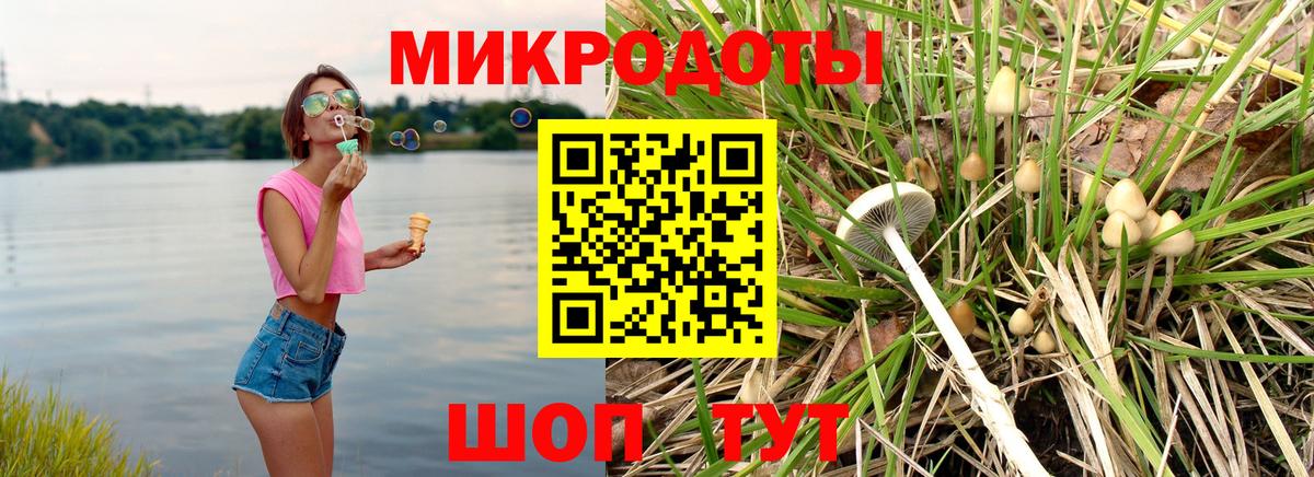 Псилоцибиновые грибы GOLDEN TEACHER  Вход с VPN  Советская Гавань 