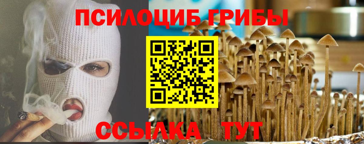 Псилоцибиновые грибы мухоморы Советская Гавань