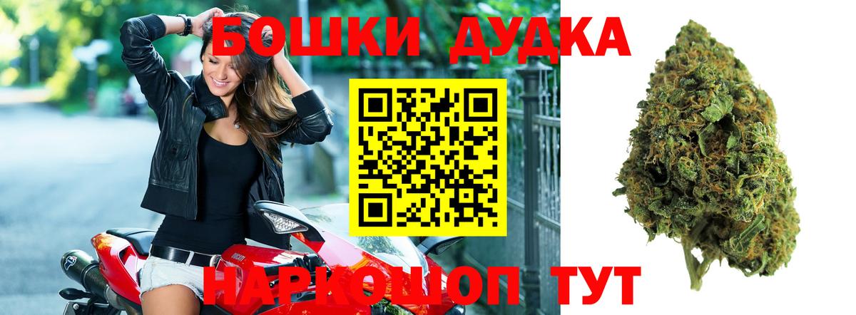 Псилоцибиновые грибы Советская Гавань